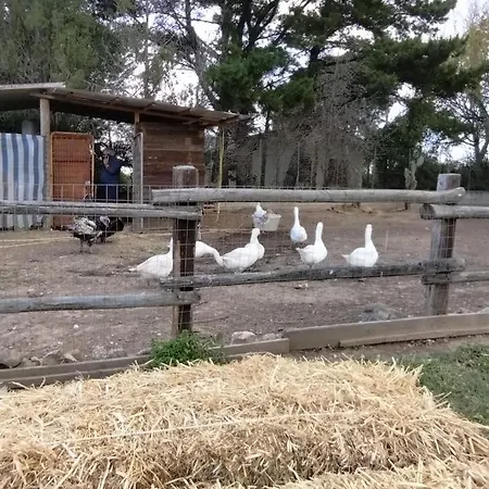 Heaven Trilocale 3 Apartamento