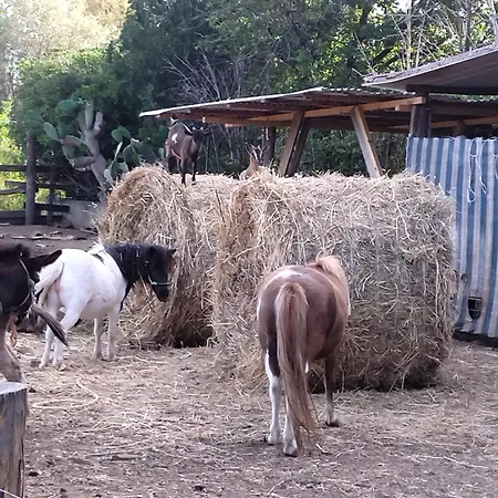 Heaven Trilocale 3 *