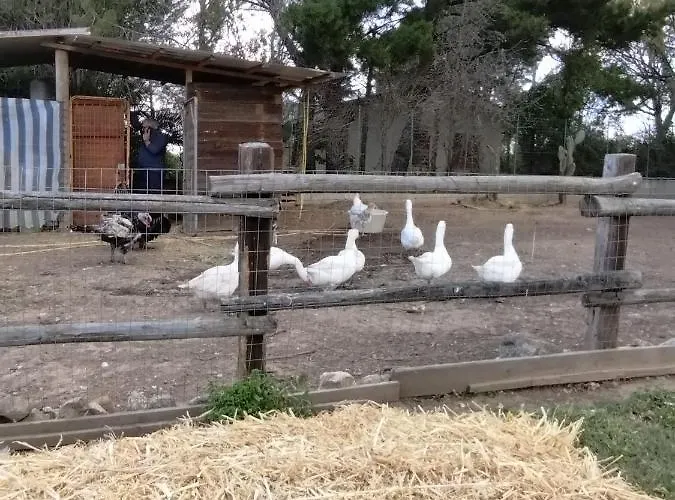 Heaven Trilocale 3 Apartamento