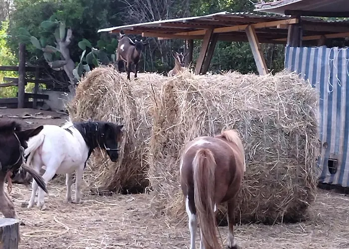 Heaven Trilocale 3 *